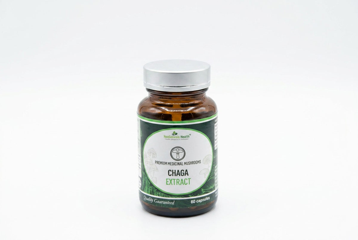 Chaga Extract
