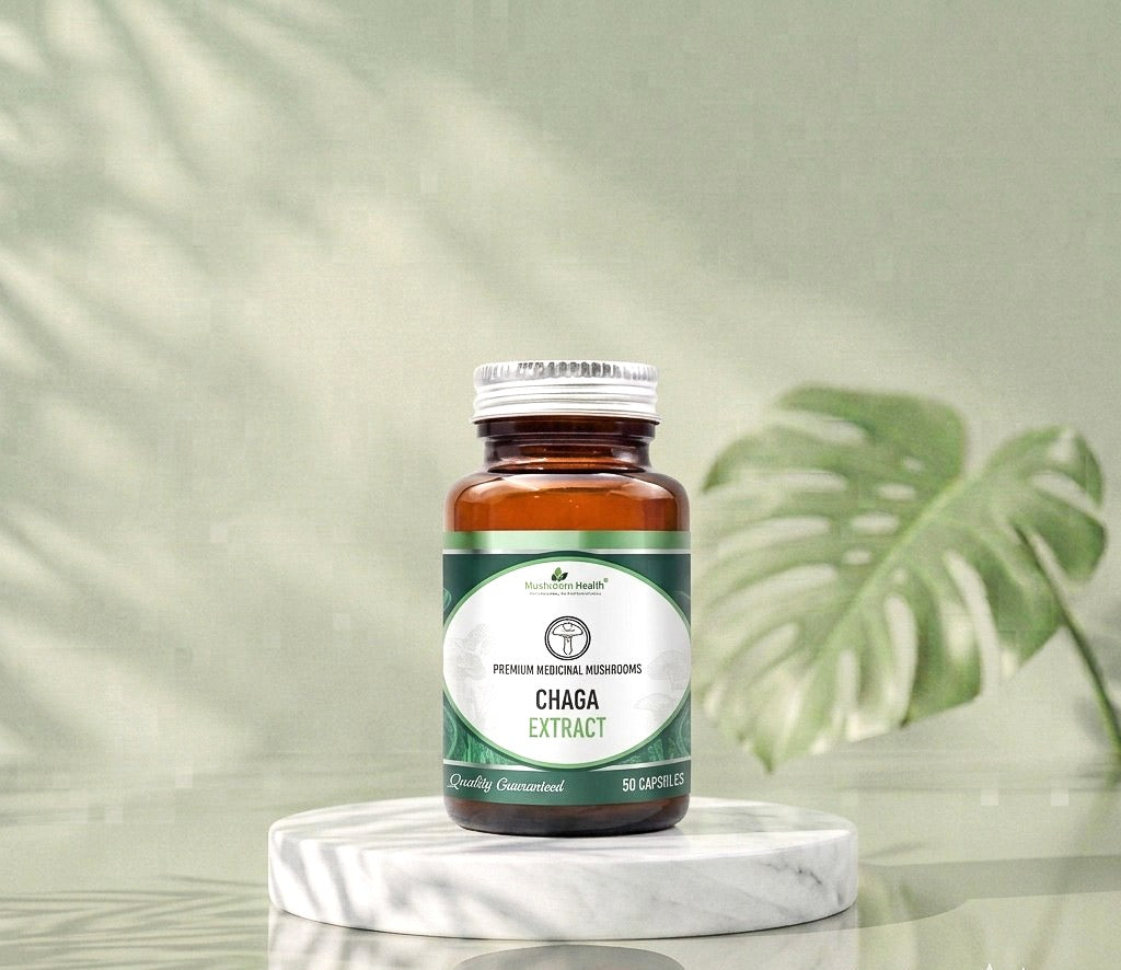 Chaga Extract