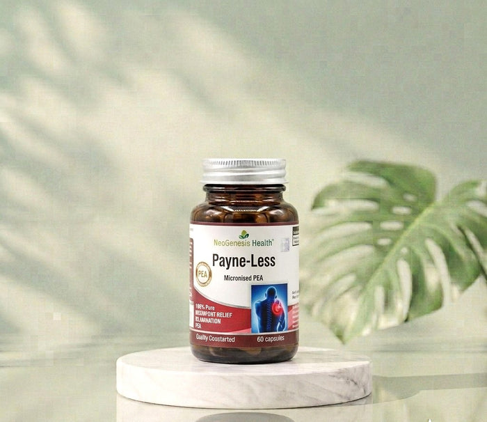 Payne-Less