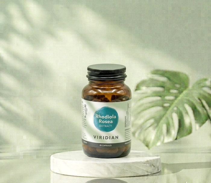 Rhodiola Rosea Extract 30