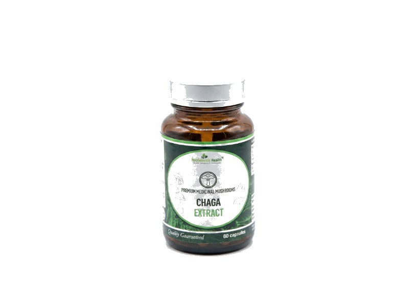 Chaga Extract
